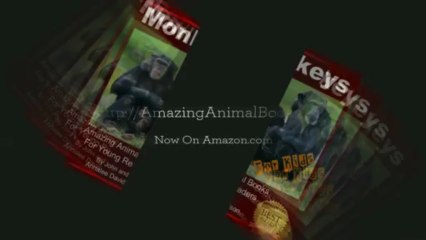 Monkeys - For Kids - Amazing Animal Books 2