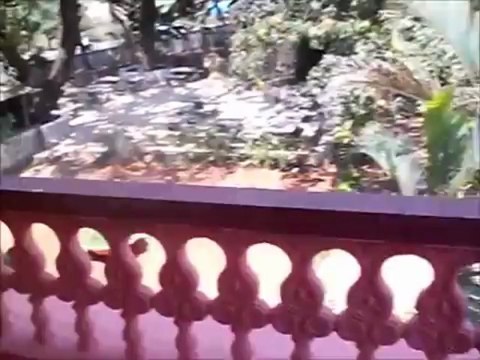 Service apartments near Calangute and Baga, Goa