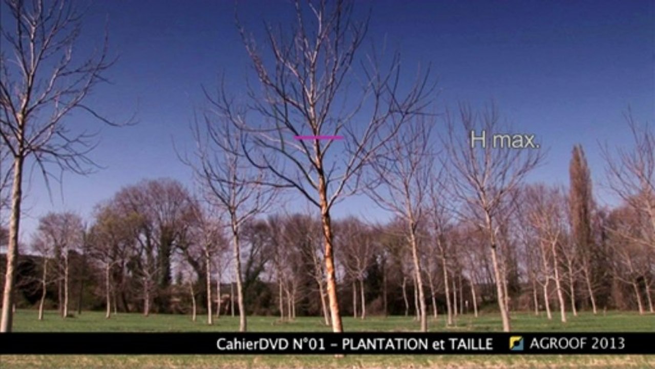 Extrait-cahierDVD01_TAILLE 3