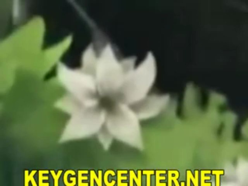 [FR] Télécharger Guild Wars 2 # JEU COMPLET and KEYGEN CRACK PIRATER