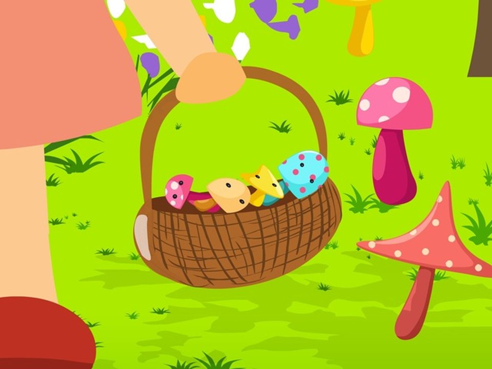 J’ai ramassé des champignons