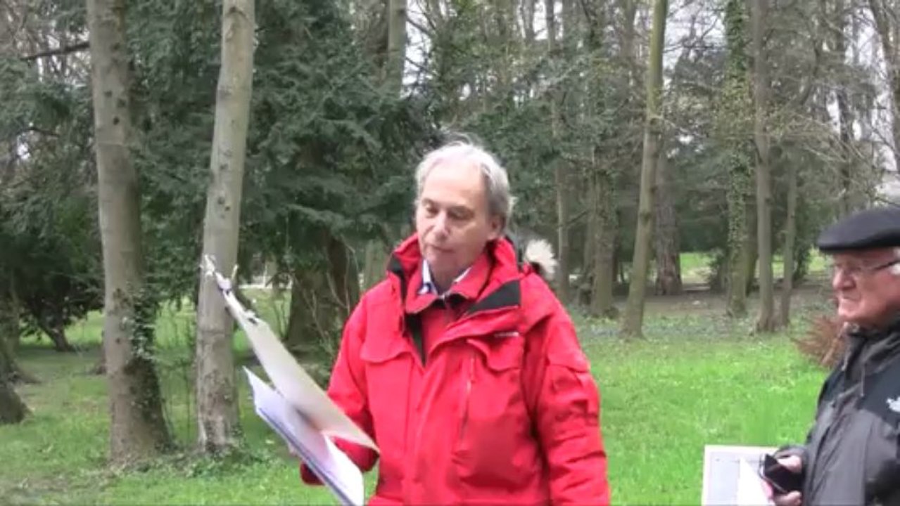 B Fischesser_arbres_01