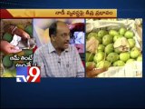Eating mangoes harms health