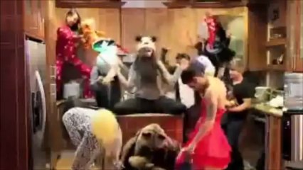 Best harlem shake stars compilation