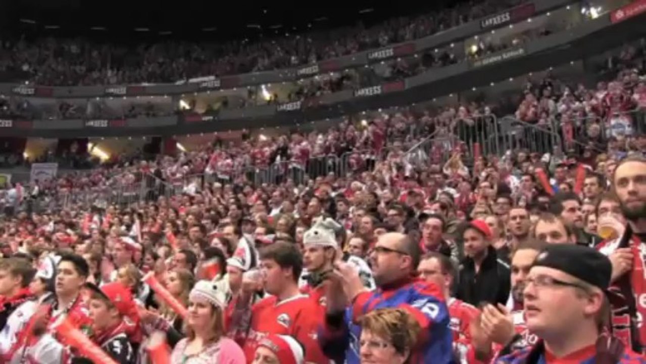Del: heimfluch nimmt kein ende: die haie patzen gegen die eisbären