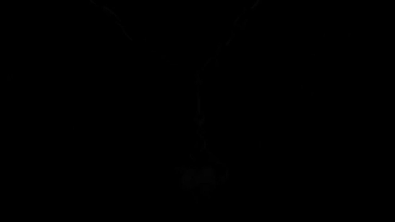 Charm For Charm Bracelet Silver / Necklace Pendant