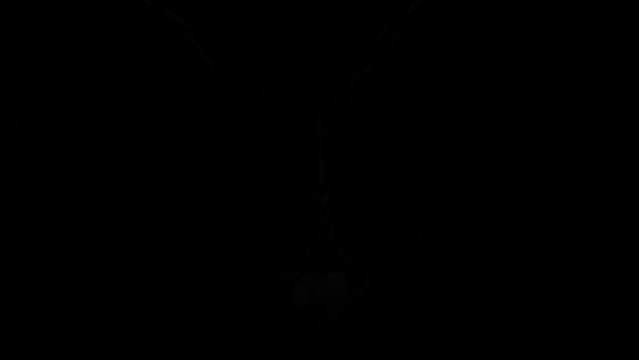 Charm For Charm Bracelet Silver / Necklace Pendant