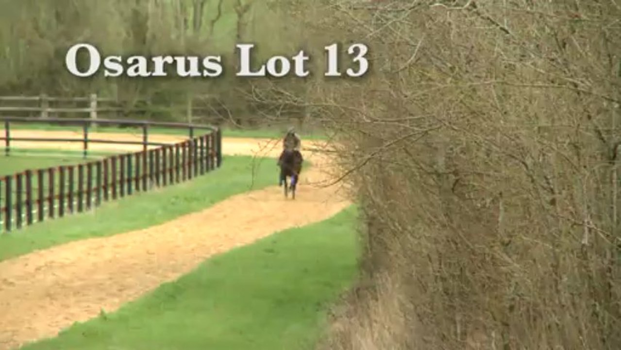 Vente Osarus Pornichet 30 avril 2013 Lot#13