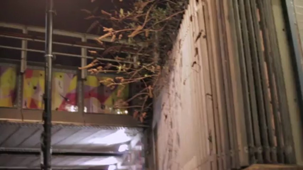 Gappy Ranks - Up Again [Official Video]