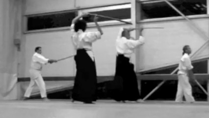 Daniel cours armes avril 2013