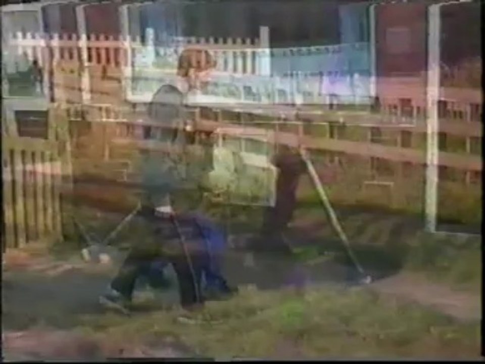 Buddy Holly everyday