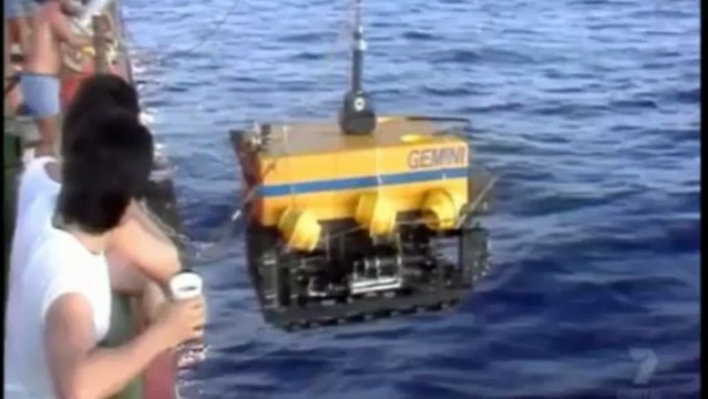 South African Airways Flight 295