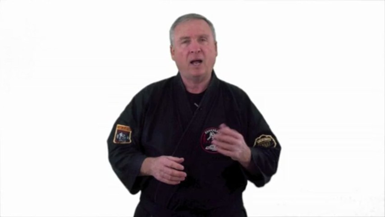 Martial Arts Training Classes: Blending Kung Fu, Karate, MMA