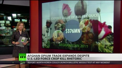 Afghanistan expects record opium harvest despite US crop kill rhetoric