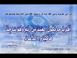 اخبار الخائقين من رب العالمين - الشيخ سمير مصطفى