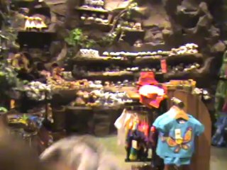 Un petit tour au Rainforest à WDW