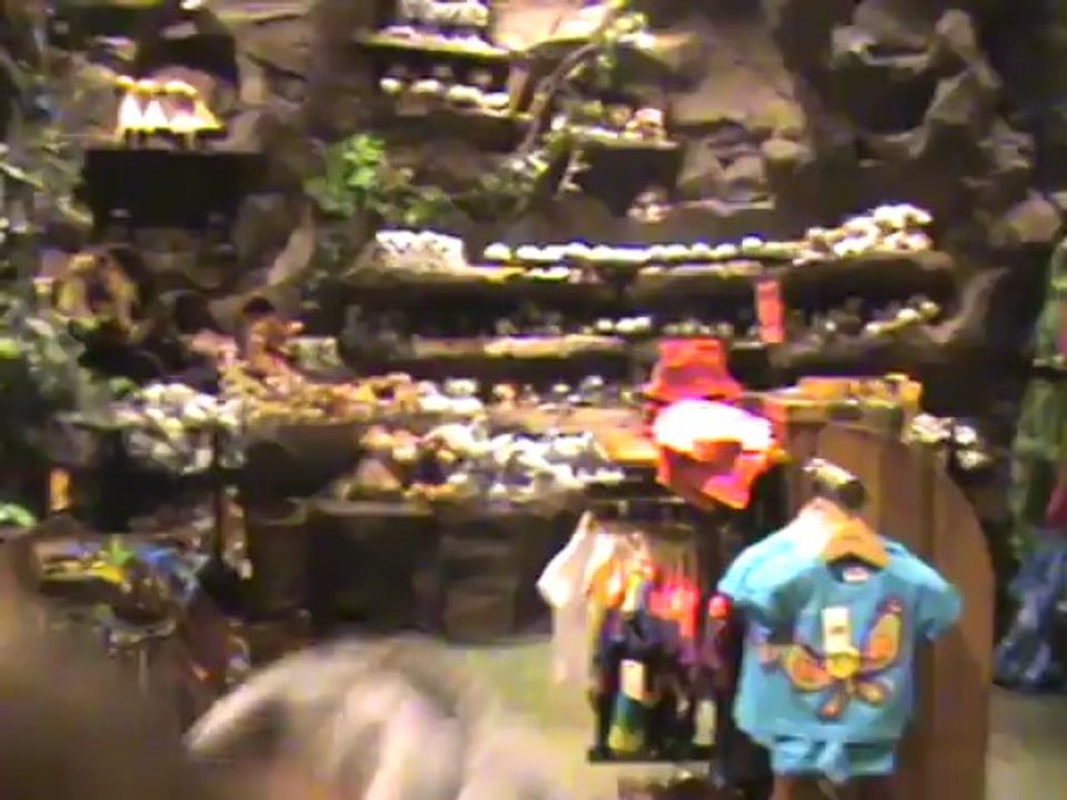 Un petit tour au Rainforest à WDW