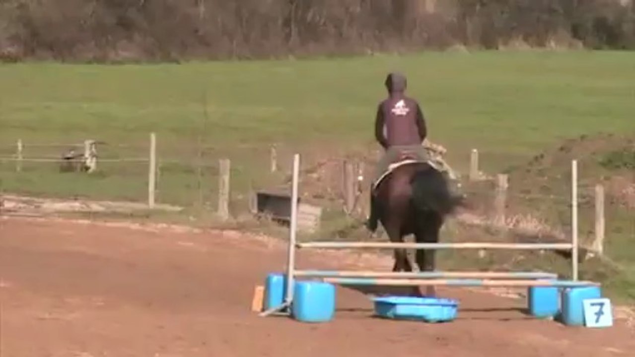 CSO Centaures Mars 2013 - Cécile