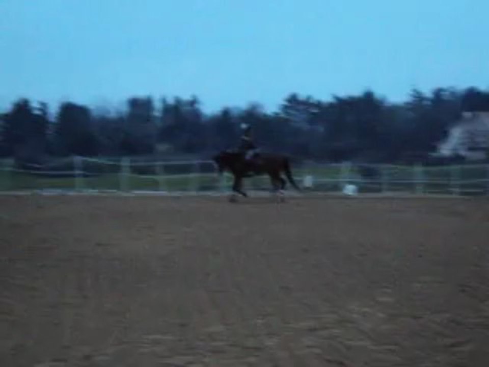 A vendre hongre SF 6 ans pret 120/125