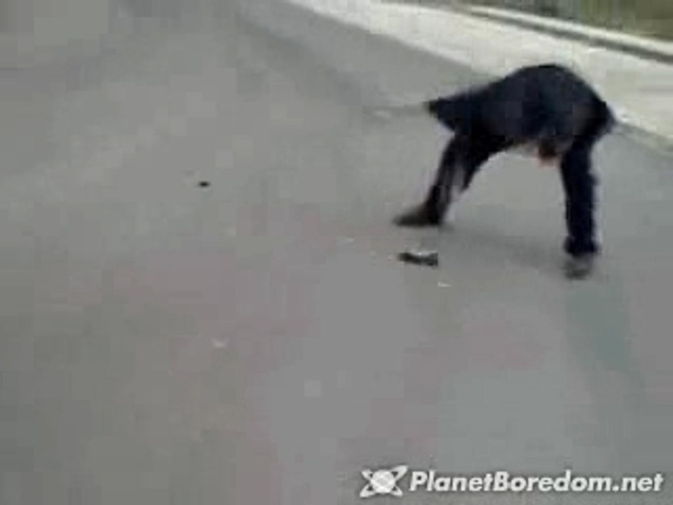 PSP Smash
