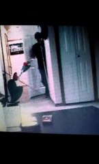 Robber gets his dome rocked