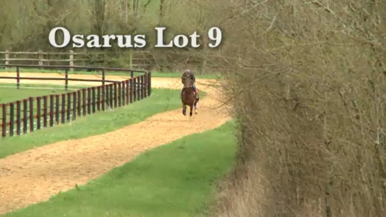 Vente Osarus Pornichet 30 avril 2013 Lot#9