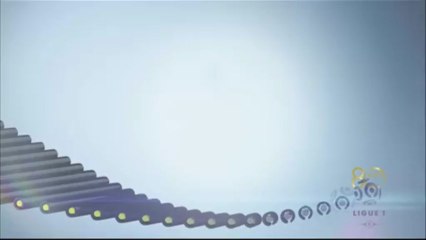 Interview de fin de match : SC Bastia - LOSC Lille - saison 2012/2013