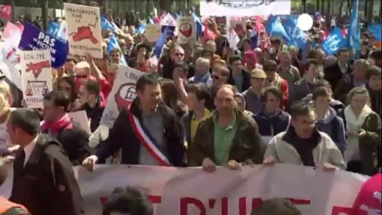 France polarised by gay marriage bill