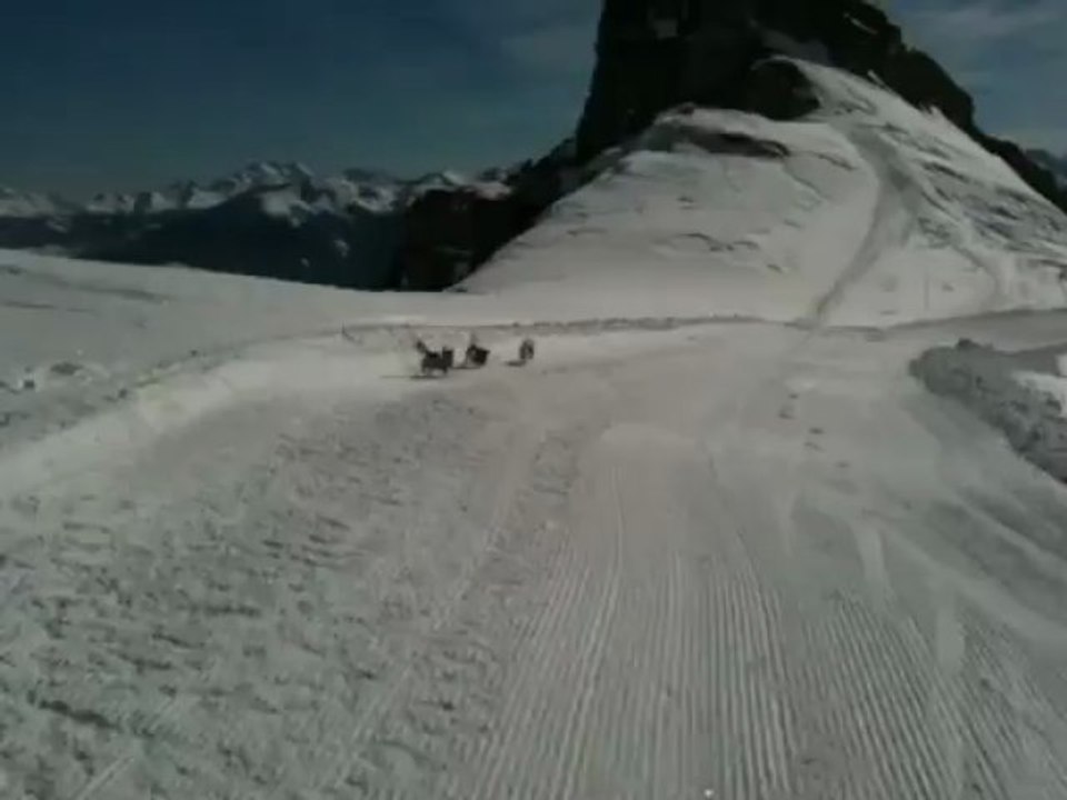 Des Plumes du Quetzal à 2400m - Février 2012