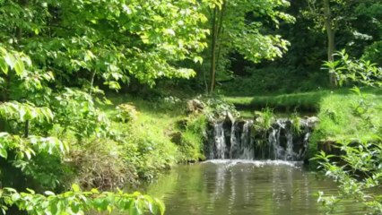 Đêm Thấy Ta Là Thác Đổ - Hòa Tấu Guitar [720p]