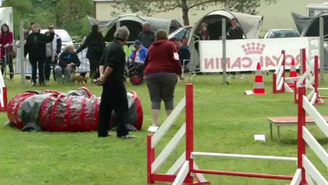 Cadix 2 eme degré L'isle jourdain