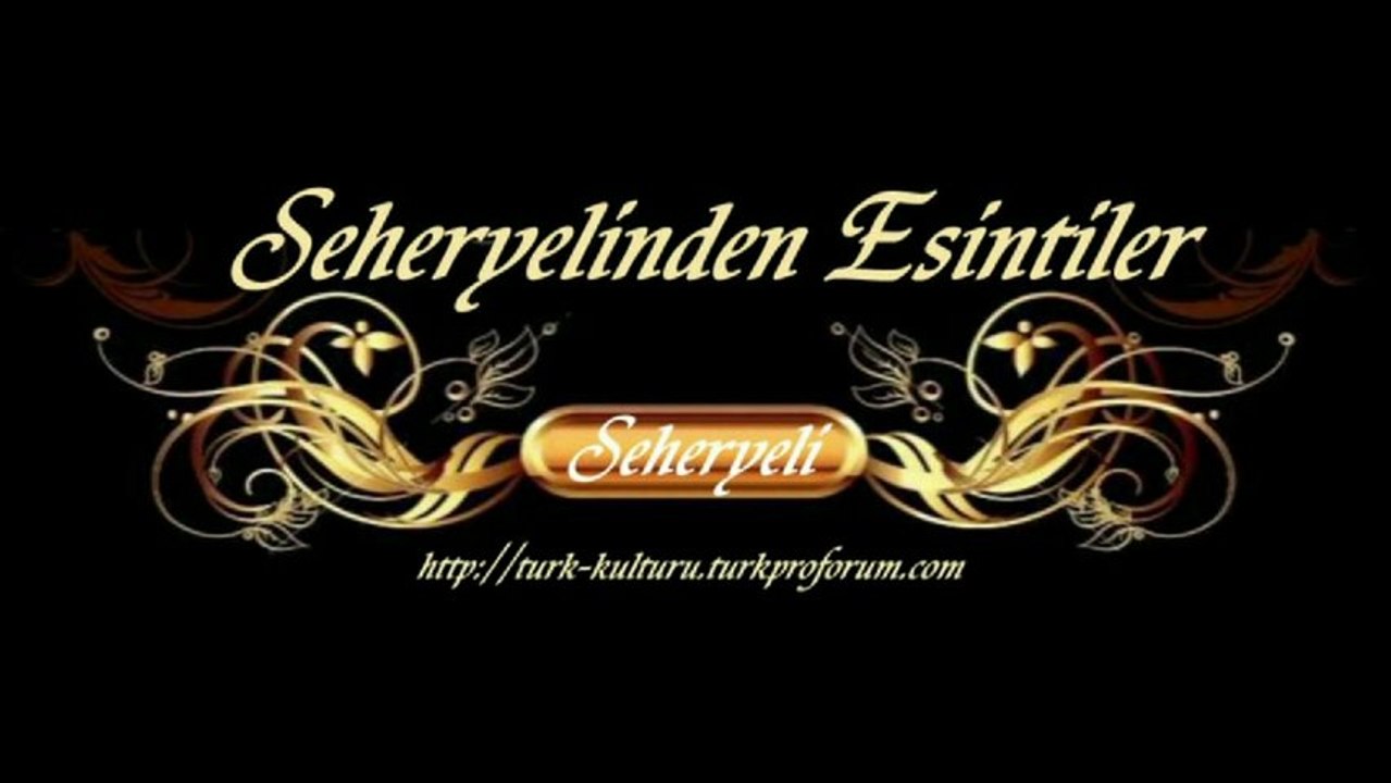 Melihat Gülses ♪♪♪  Bir Fırtına Tuttu Bizi