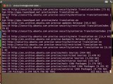 Ubuntu 12.04 LTS - 2.7 Instalación del escritorio Gnome Clásico Ubuntu Alsamixer by darkcrizt