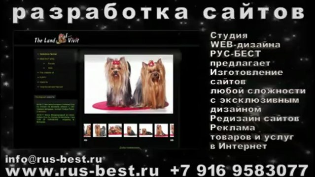 продвижение сайтов