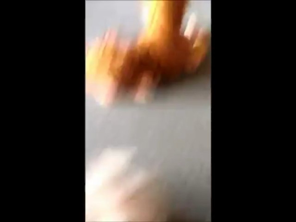 Honey VS Tiger