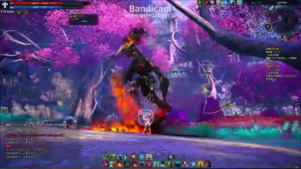 TERA 2013-04-18 19-42-09-632