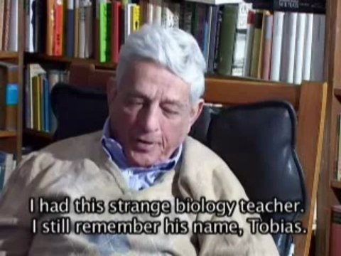 Les soldats juifs d'Hitler 2-6 (vidéos en anglais)