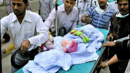 Bollywood Reacts To The 5- Year Old Child Rape Incident