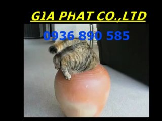 Sửa chữa nhà quận 3, giá rẻ call 0936 890 585 hcm city