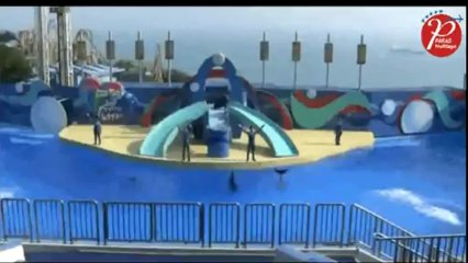 Paras Holidays - Best Travel Company in Delhi India