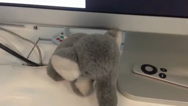 Mobile Capture 22 avr. 2013