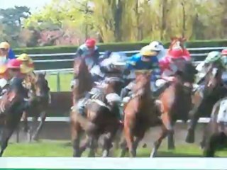 prix du Président de la République 21 avril 2013  4700 mètres Auteuil