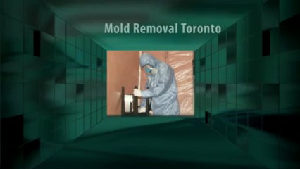 What Is Important To Be Informed About Mold Removals