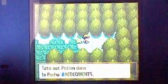 Let's play Pokémon Or HeartGold épisode 2 : Tranch'herbe !