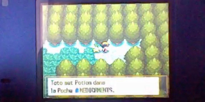 Let's play Pokémon Or HeartGold épisode 2 : Tranch'herbe !