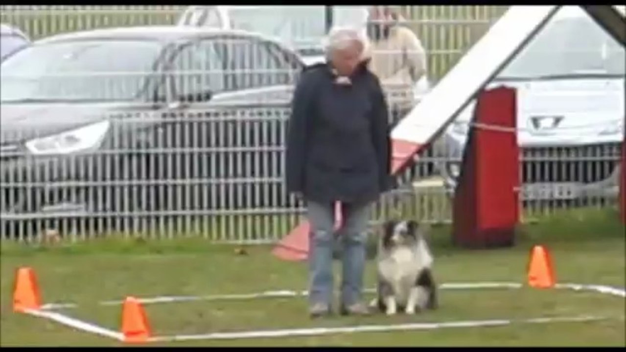 2013.03.02 -  Concours d'Obéissance - Cabariot - Dowl'Us du Royaume d'Angélique