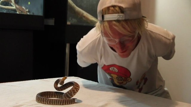 Se faire mordre le visage par un serpent