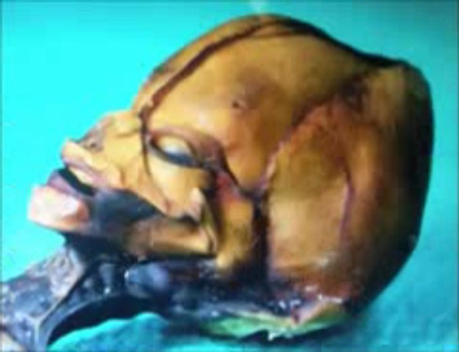 Dr. Steven Greer - Sirius Documentary Telecharger Full Video 2013 Release UFO