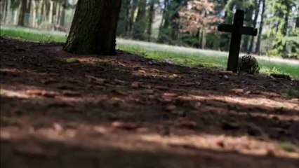 urbex session 43 : Le cimetiere des aliénés