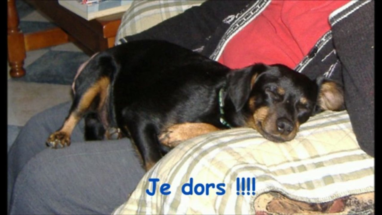 Minipouce fête ses 7 ans, souvenir !!!